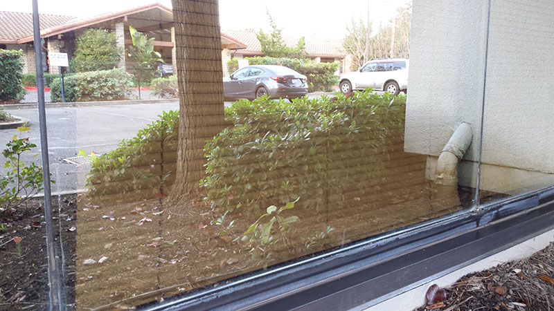 Picture of window after commercial window cleaning in Irvine by Blue Coast Window Cleaning Service.